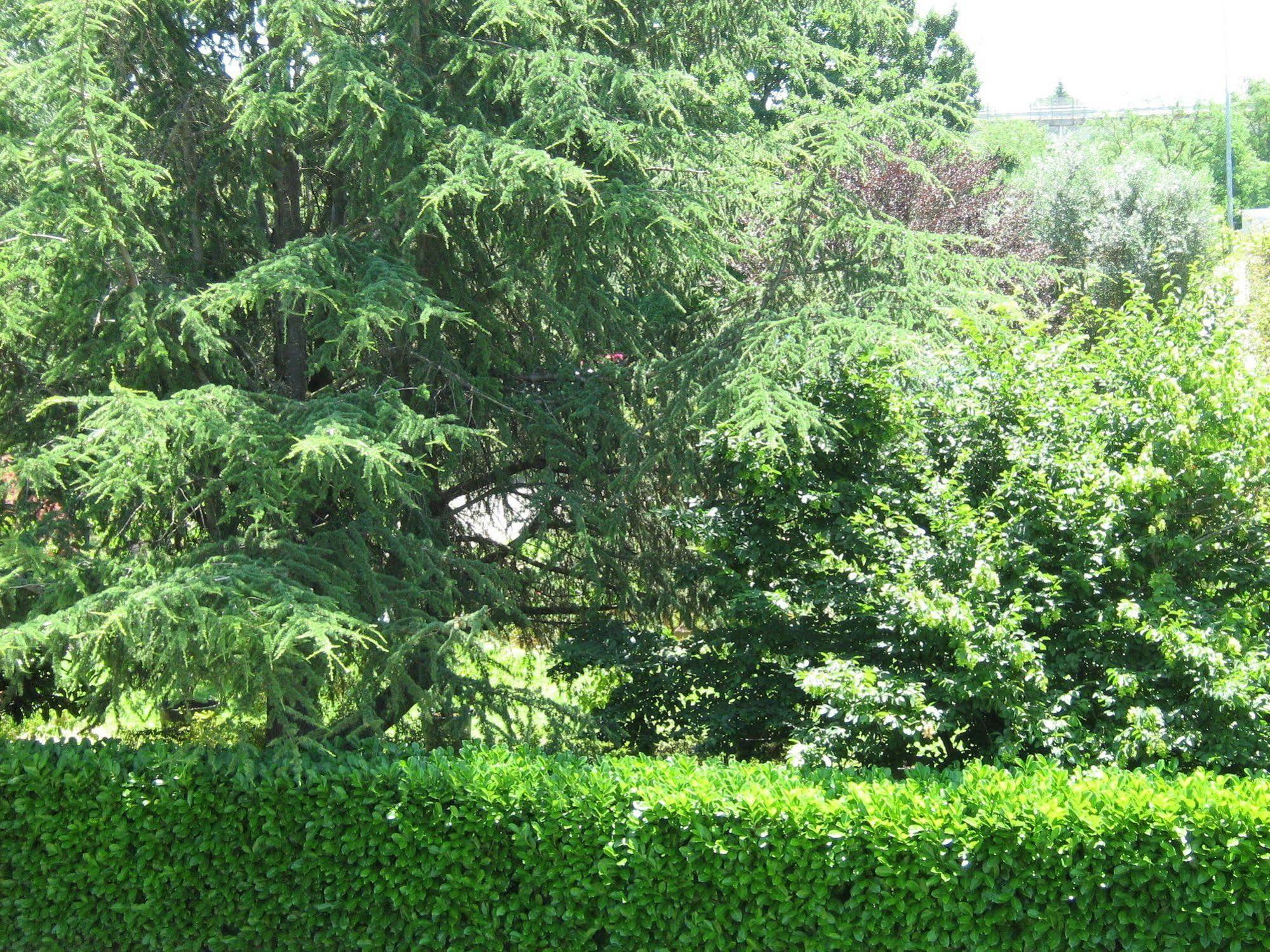 San Giustino B&B I Fiori מראה חיצוני תמונה